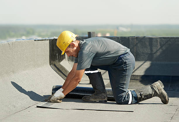 Professional Insulation Contractor in Roosevelt Gardens, FL