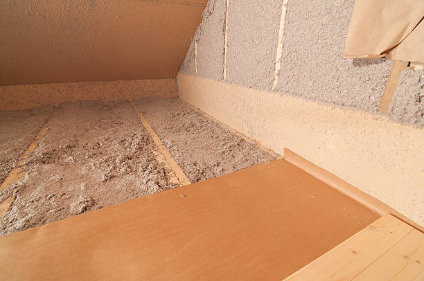 Best Cellulose Insulation in Roosevelt Gardens, FL