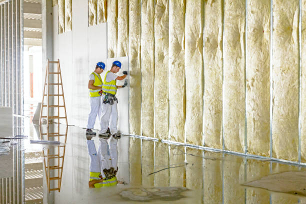 Best Insulation Maintenance and Repair in Roosevelt Gardens, FL